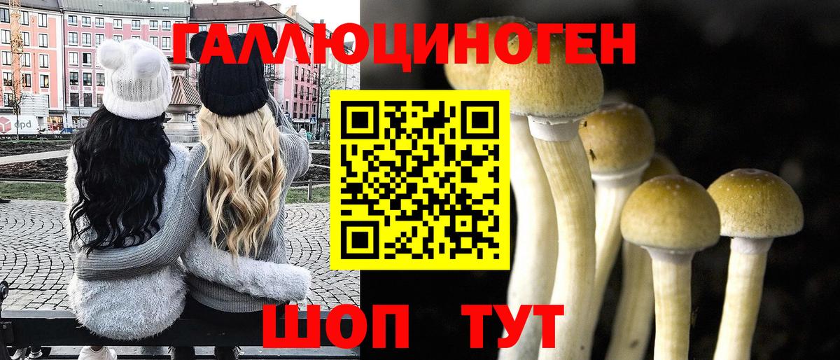 Галлюциногенные грибы мицелий  Вход с VPN  Галлюциногенные грибы Magic Shrooms  Донской 